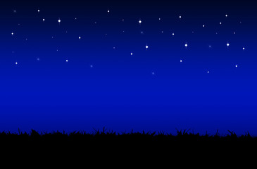 Fototapeta premium star night sky above the field