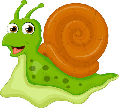 cute snail cartoon