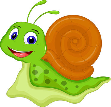 funny cartoon snail