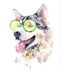 Modern watercolor husky in fashionable glasses and collar. 