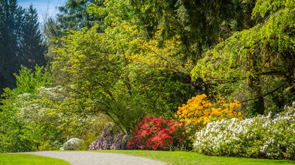 Washington park arboretum, Spring