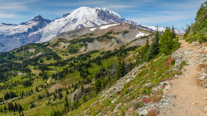 BERKELEY PARK TRAIL, Mount Rainier National Park