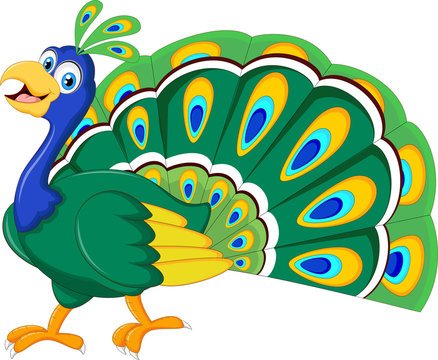 Peacock cartoon for you design
