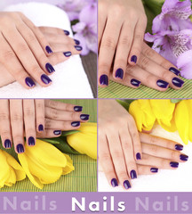 Fototapeta premium Beautiful woman hands with flowers in collage
