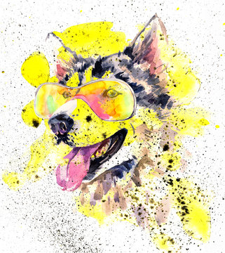 Watercolor siberian husky dog in glasses and yellow splashes