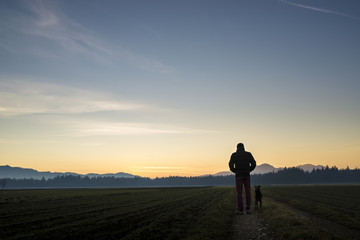 View from behind of a man walking with his black dog at dusk on - obrazy, fototapety, plakaty