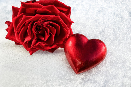 rose and red heart on ice wet snow, selective focus