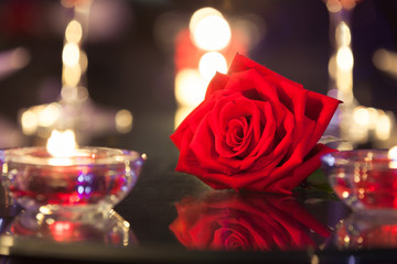 Single rose in a romantic setting.
