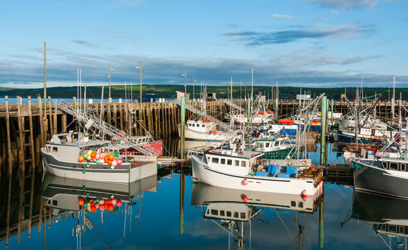 Fishing boats in the harbour at low tide in Digby, Nova Scotia.  Late spring afternoon with evening approaching.   Boats tied up, in for the day.  Sunshine on calm coastal water.