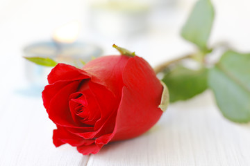 Fototapeta premium Stock Photo:.Beautiful red roses on table close-up