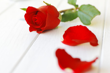 Stock Photo:.Beautiful red roses on table close-up