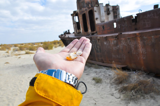 Hand with seashells on a background of ship in the desert.