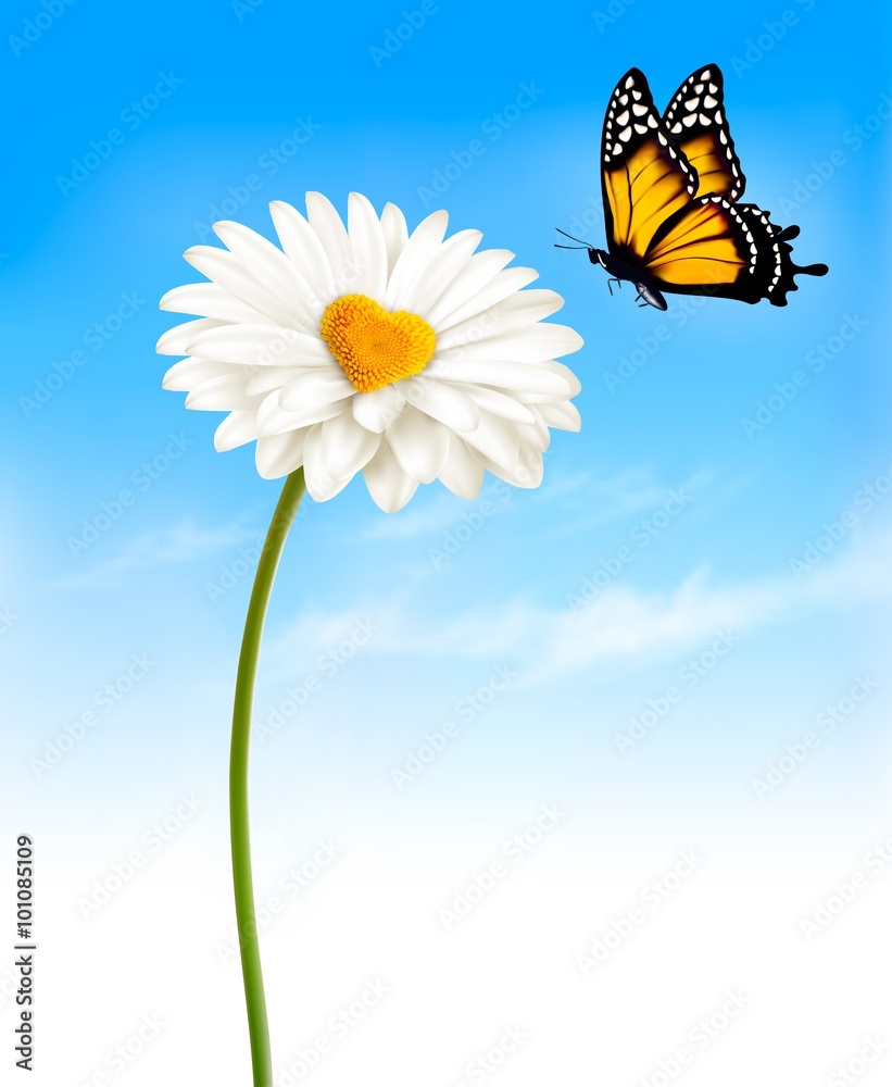 Poster daisy with a heart shaped middle and a butterfly. vector.