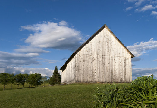 Weathered Wooden Barn: An old wooden barn weathered white in color on a green grassy hillside in New York's Hudson Valley