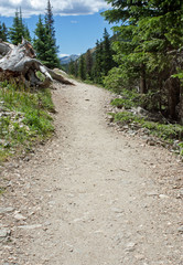 Hiking Path in Rocky Mountain National Park