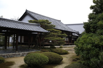 京都嵯峨野鹿王院