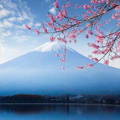 Obraz premium Mt. fuji and cherry blossom at lake kawaguchiko