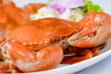 crab