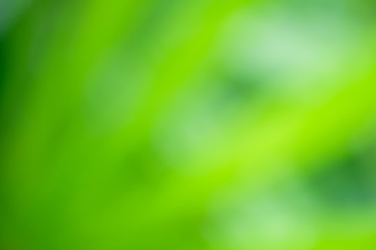 Abstract Nature green background