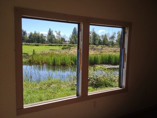 window view