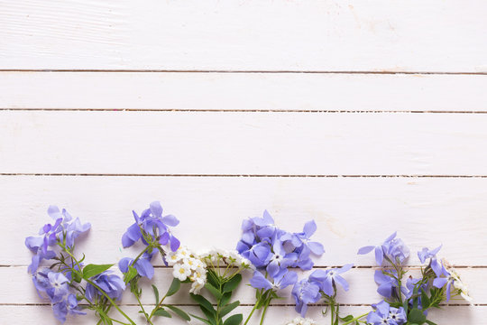 Border from tender blue flowers on white painted wooden planks.