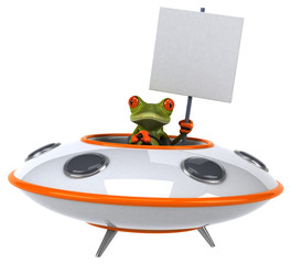 Fun frog © Julien Tromeur