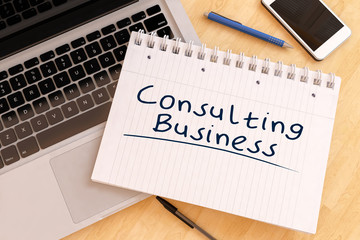 Consulting Business