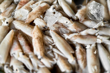 Seafood. Food Background. Close Up Of Fresh Caught Gourmet Squids ( Calamari, Cephalopod ) At Fish Market In Thailand, Asia. Healthy Eating. Nutrition, Diet And Vitamins.