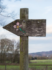 Wegweiser aus Holz mit Blume
