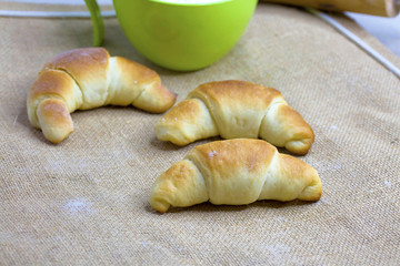 Fresh bread rolls