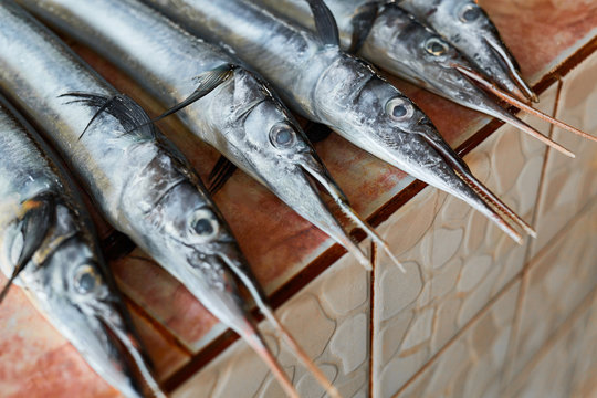 Honk Fish รูปภาพHoundfish – เลือกดูภาพถ่ายสต็อก เวกเตอร์ และวิดีโอ194 | Adobe Stock