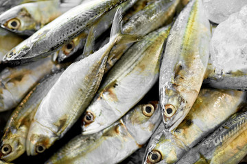 Fish. Food Background. Close Up Of Fresh Caught Mackerel Fish With Crashed Ice At Fish Market In Thailand, Asia. Seafood. Healthy Eating Concept. Nutrition, Diet And Vitamins.