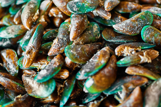 Healthy Food. Seafood Background. Closeup Of Fresh Gourmet Asian Green Mussels ( Perna Viridis, Green-lipped Mussels, Oysters ) At Fish Market In Koh Samui, Thailand, Asia. Nutrition And Diet. 