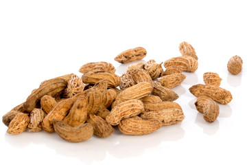 nut isolated on the white background , selective focus