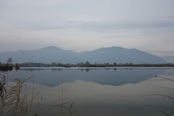Mirror in the nature