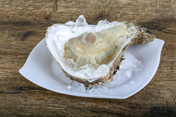 Fresh raw oyster