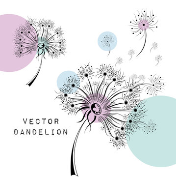 Hand draw dandelions. African / indian / floral / tattoo design. It may be used for design of a t-shirt, bag, postcard and poster.