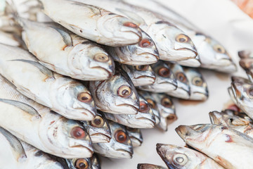Obraz premium Fresh Mackerel on a market stall in Thailand.
