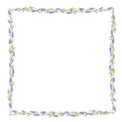 The Lavender frame line.