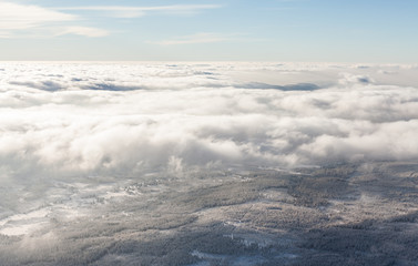 aerial view of the forest in winter time