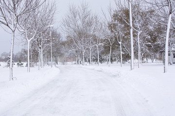 park road covered in heavy snow