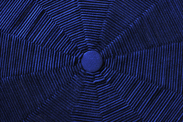 Blue Carpet Texture, Background