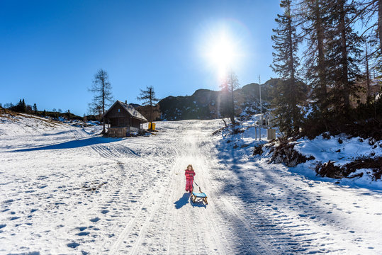 Girl is pulling snow sledge in ski resort  wearing winter clothe