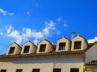 Roof extentions and chimney