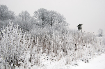 Oszroniona łąka i drzewa, śnieg ,ambona do polowań