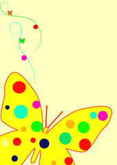 Borboletas coloridas