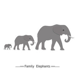 the family of elephants, three, logo, shadow