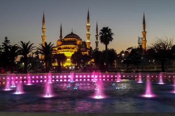 Fototapeta na wymiar Blue Mosque in the night