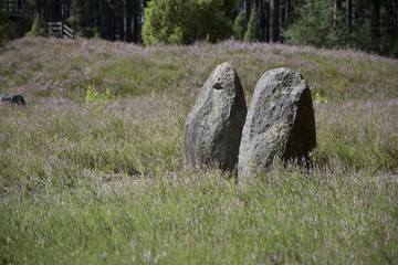 Polish stone circle  in Odry