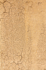 Cracked clay ground into the dry season.
